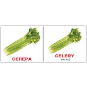 Овощи \ Vegetables